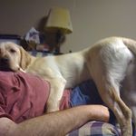 Ryan Hallman - @r_hallman - Instagram
