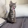 ryan.hallman - @ryan.hallman - TikTok