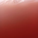 Ryan Hampson - @ryanhampson307 - Instagram