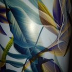 Ryan Hatchett - Facebook