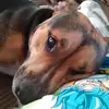 Ryan Hancox - @ryan.hancox4 - TikTok