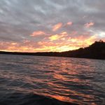 Ryan Hankins - @ryan.hankins.12 - Instagram