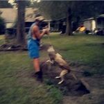 Ryan harbin - @ryan_harbin80 - Instagram
