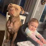 Ryan Harlan - @harlo343434 - Instagram