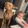 ryanharlan78 - @ryanharlan78 - TikTok