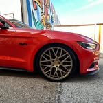 Ryan Harroff - @ryanharroff - Instagram