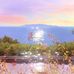 Ryan Harrop - Facebook