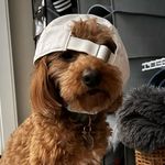 Ryan Harshbarger - @ryan_harshbarger103 - Instagram