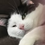Ryan Harty - @ryan_harty_ - Instagram