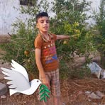 Ryan Hasi - Facebook