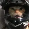 Ryan - @ryan.chase_ - TikTok