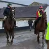 Ryan Haslam - @ryan.haslam.sj - TikTok