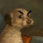 Ryan Hasty - @ryan_hasty - Instagram