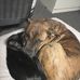 Ryan Kelley Hasty - Facebook