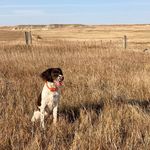 Ryan Haug - @ryanhaug_ - Instagram