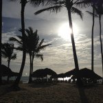 Ryan Haug - @r_haug - Instagram
