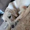 ryanhaugen548 - @ryanhaugen548 - TikTok