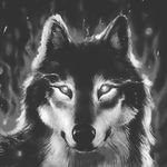 Ryan Haven - @ryan_haven - Instagram