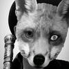 Ryan Haven - @rr.haven - TikTok