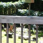Ryan Haws - @ryaninsartell - Instagram