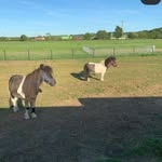 @ryan_heaney07 - Instagram