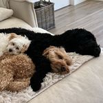 Ryan Heaney - @rhhuntingtonbeach - Instagram
