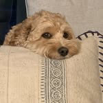 Ryan Heaney - @ryanheaney27 - Instagram