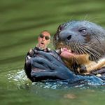 Ryan Heard - @ryan.heard.50 - Instagram