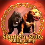 Ryan Heard - @ryan_southernstate_bullycamp - Instagram