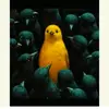 Ryan Heda - @ryan.heda - TikTok