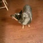 Ryan Hedgepeth - @ryanhedgepeth - Instagram