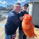 Ryan Heine - @ryanheine - Instagram