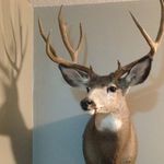 Ryan Heintz - @ryan_heintz - Instagram