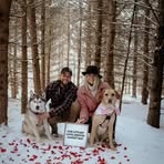 Ryan Heise - Facebook