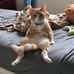 Ryan Helmer - Facebook