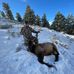 Ryan Hendriksen - Facebook