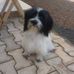 Ryan Henn - Facebook