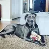 ryanhenney - @ryanhenney - TikTok