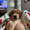 user4229651470579 - @ryan_henne - TikTok