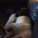 @ryan_herrera_2345 - Instagram