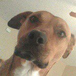 Ryan Herrington - @ryanherrington311 - Instagram