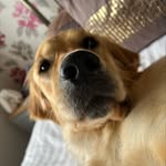 Ryan Herrington - @ryanherrington_ - Instagram