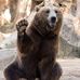 Ryan Herzog - Facebook