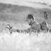 Ryan Heuser - Facebook