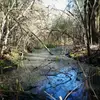 Ryan Hewlett Jr - @ryan.hewlett.jr - TikTok