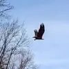 Ryan Hibbard - @ryan.hibbard5 - TikTok