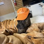Ryan Hicks - Facebook