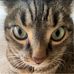 Ryan Hieras - Facebook