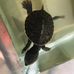 Ryan Higginbotham - Facebook