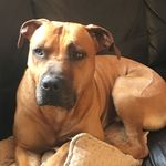 Ryan Hillyer - @hillyerryan - Instagram